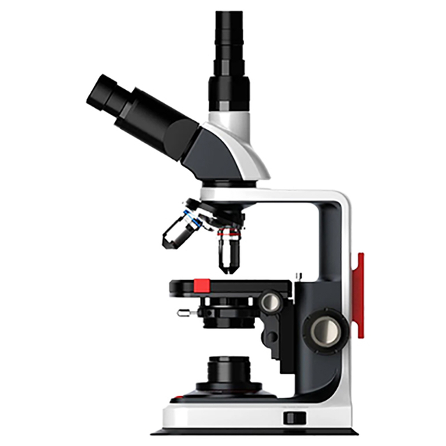 TL24 series biological microscope