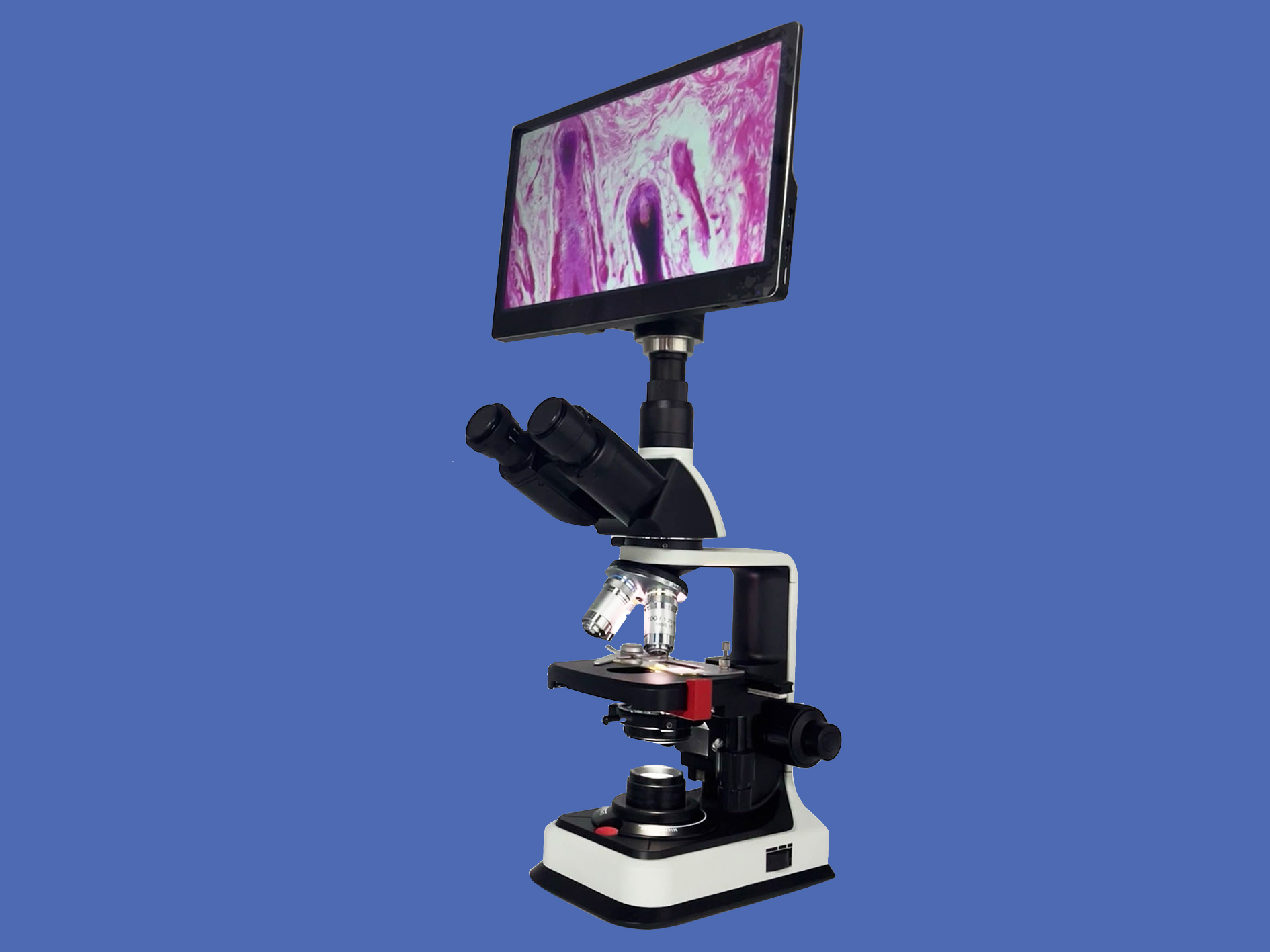 Yingtai: Key Operating Points of Fluorescence Microscopy
