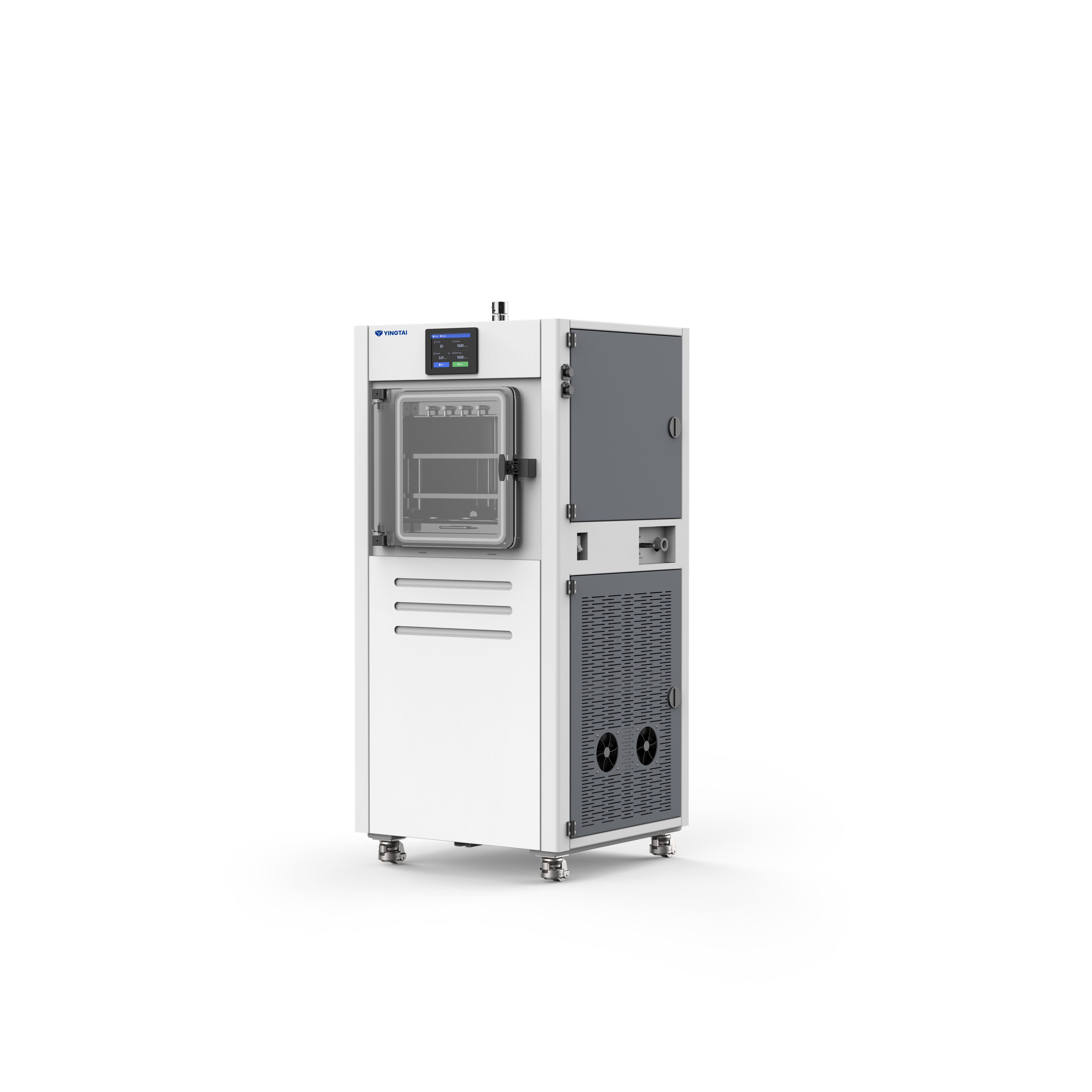 Yingtai: Application of Vacuum Freeze-Drying Technology in Edible Fungi 