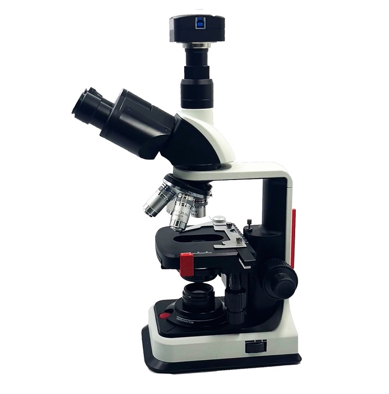 Yingtai: Mechanism of Anti-Phototoxicity Reagents