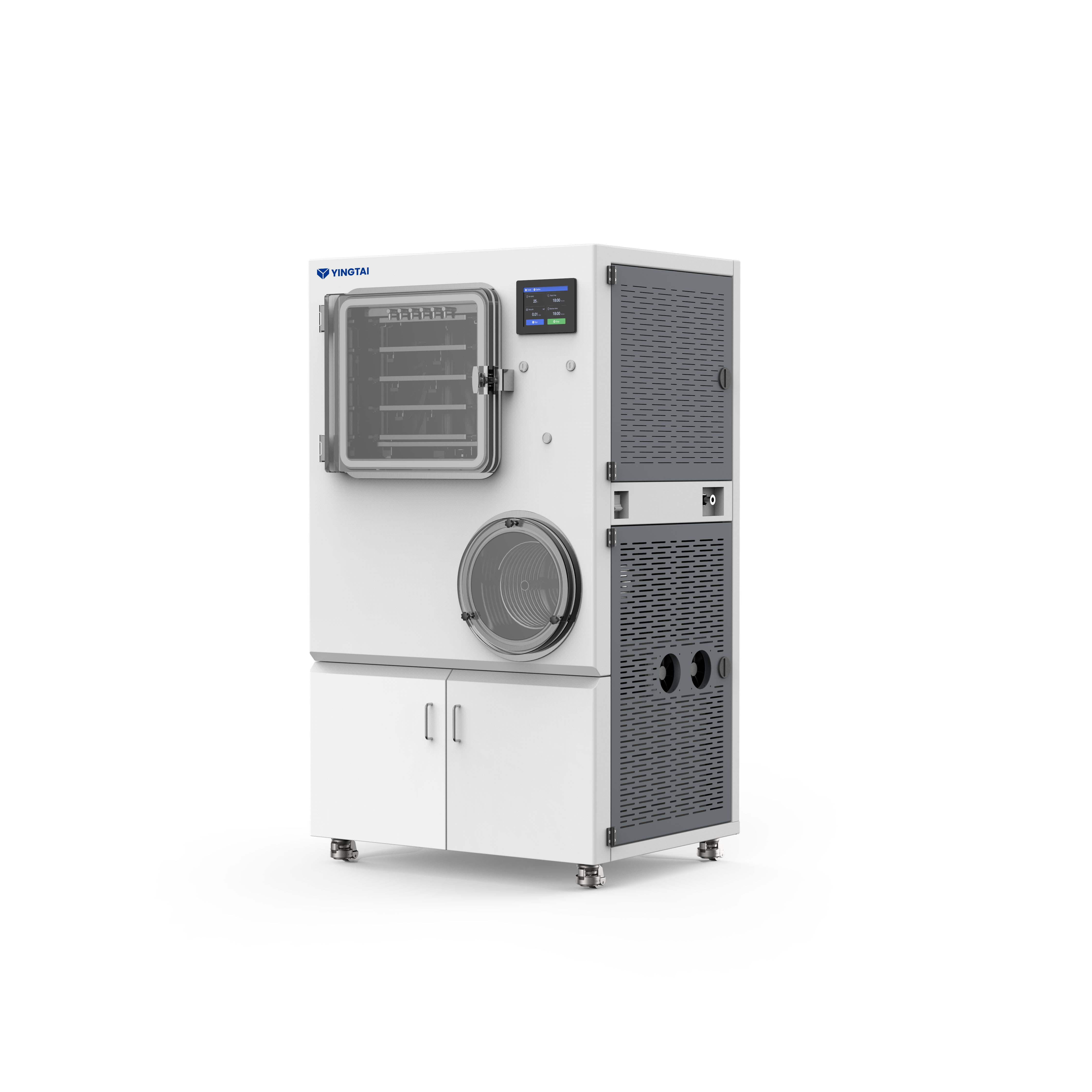 Production of Freeze-Dried Fruit Tea with Yingtai Freeze Dryer